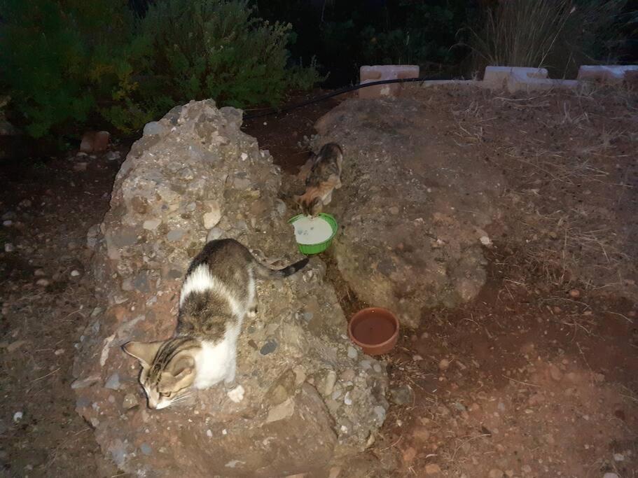 Ferienhaus το σπίτι που σε ταξιδεύει Agia Galini