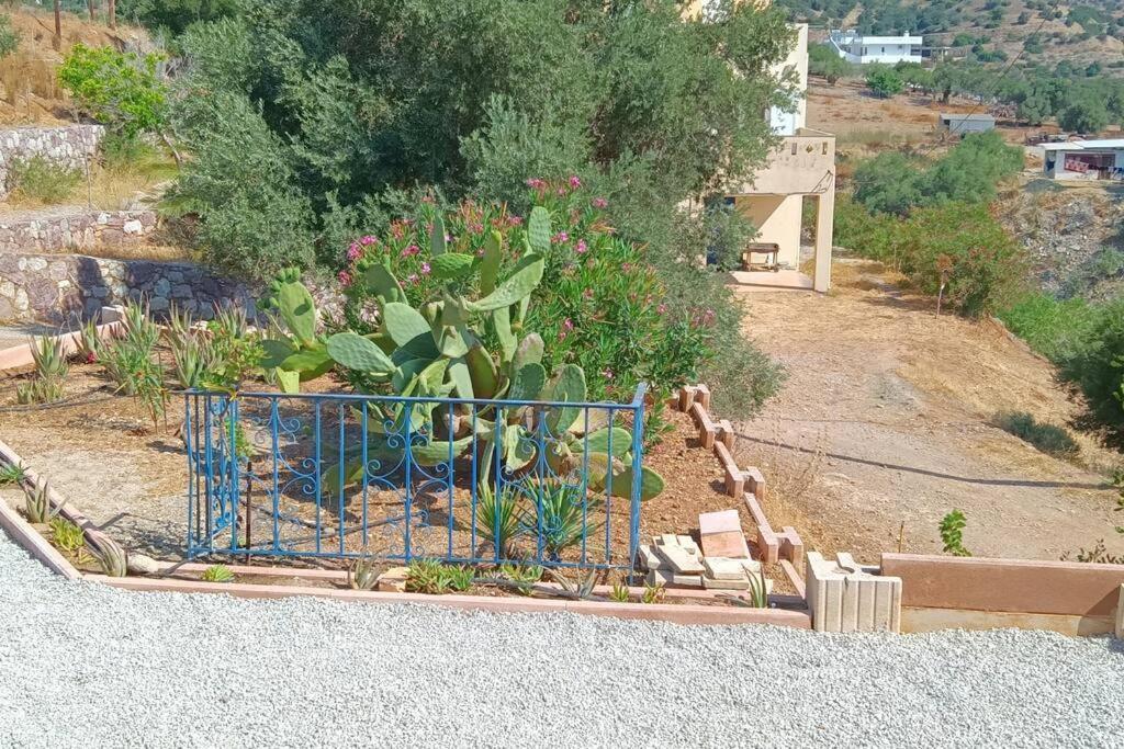 το σπίτι που σε ταξιδεύει Ferienhaus *